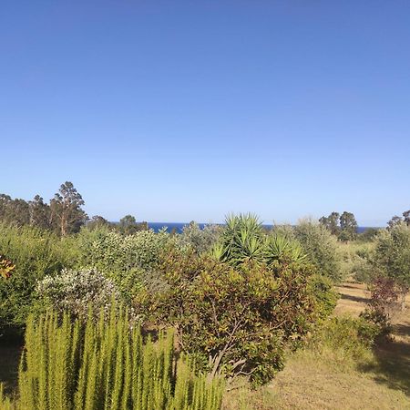 Tertenìa Sa Teria Village - Appartamenti - מראה חיצוני תמונה