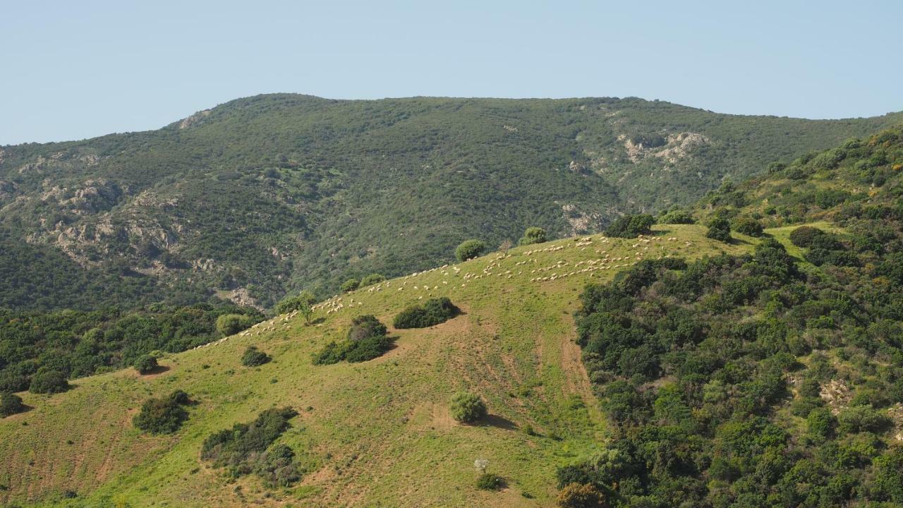 Tertenìa Sa Teria Village - Appartamenti - מראה חיצוני תמונה